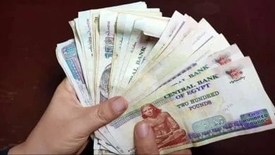 الاستعلام عن رواتب الموظفين