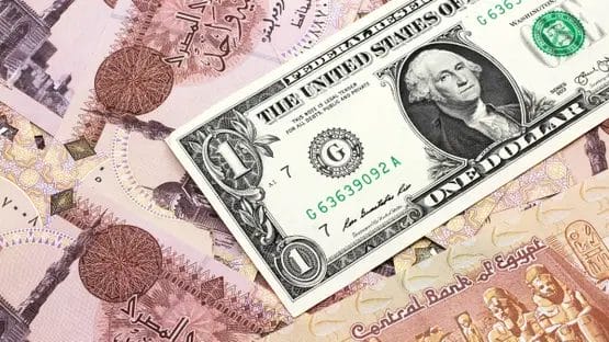 سعر الدولار أمام الجنيه المصري