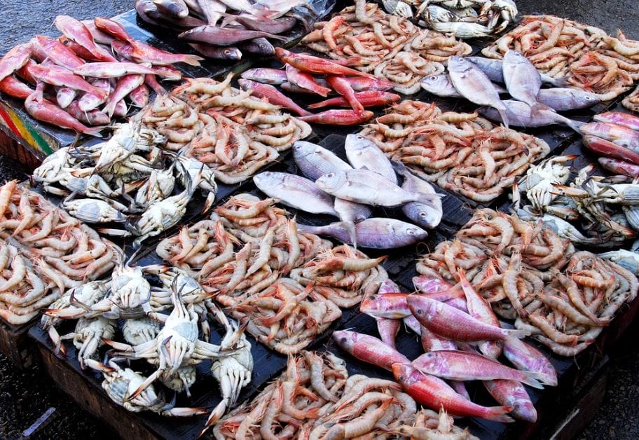 سعر السمك اليوم في سوق العبور