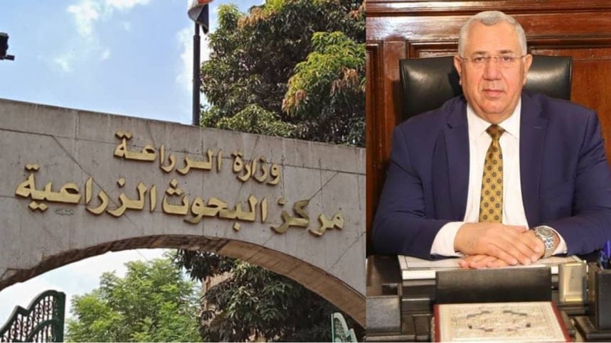 مركز البحوث الزراعية