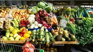 اسعار الفاكهة اليوم في سوق العبور 29 6 2025 دليل المشتري الذكي