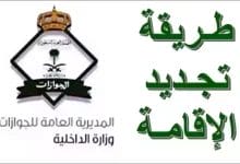 الآن أسهل وأسرع.. جدد إقامتك إلكترونيًا في السعودية عبر «خدمة مذهلة»