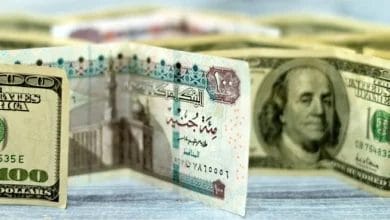 سعر صرف الدولار مقابل الجنيه المصري اليوم الاحد 29 يونيو 2025 مباشر ومحدث