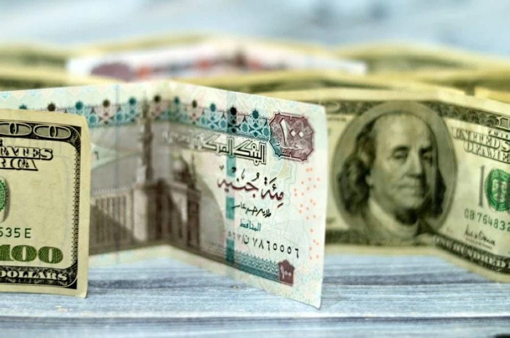 سعر صرف الدولار مقابل الجنيه المصري اليوم الاحد 29 يونيو 2025 مباشر ومحدث