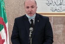 ضوابط ممارسة نشاط الاستيراد المصغر حسب القرار الجديد للحكومة الجزائرية