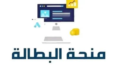 كيفية تجديد منحة البطالة في الجزائر 2025 الشروط والخطوات الرسمية