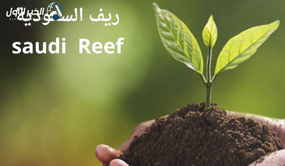 شروط الحصول على دعم ريف