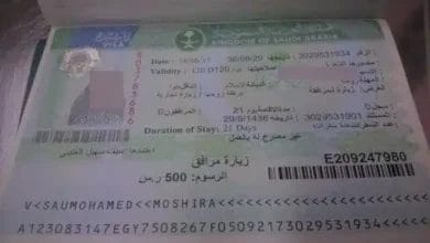 تحقق من صلاحية التأشيرة عبر بوابة التحقق الرسمية