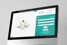 نظام نور
